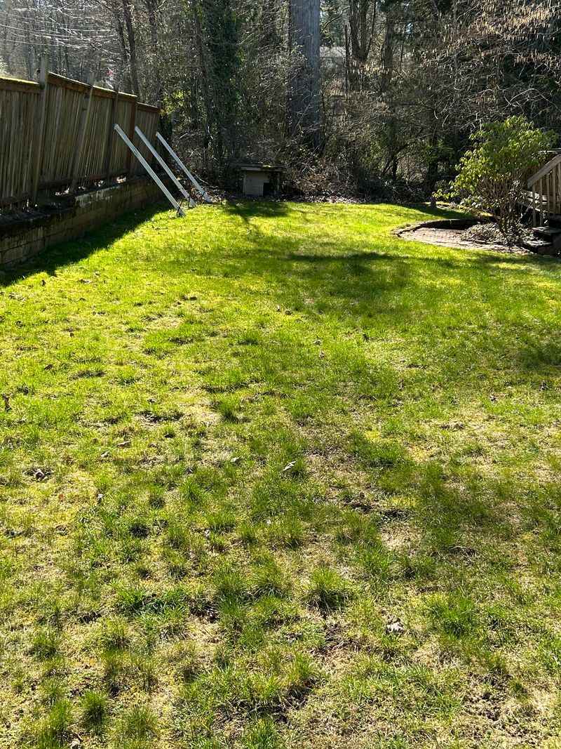 Moss Takes Over Where Grass Weakens