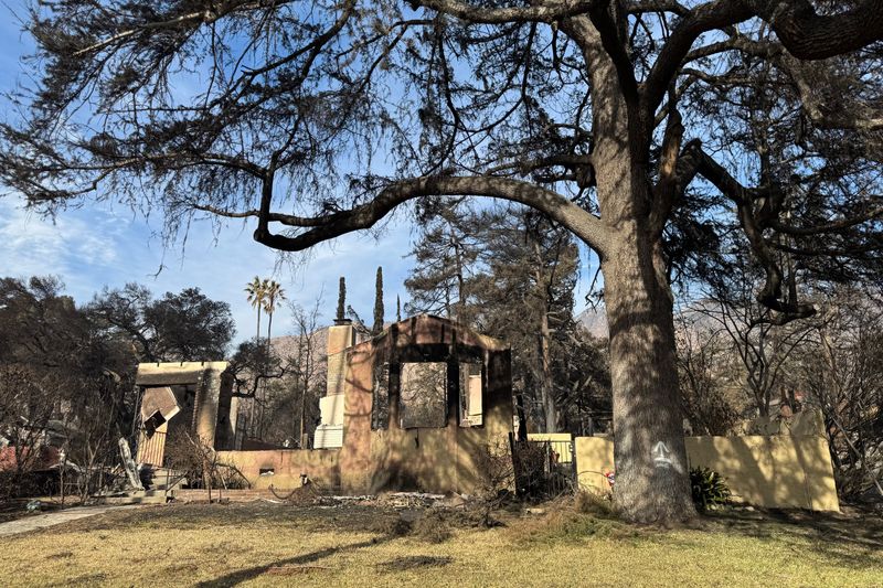 Trees Within The First Five Feet Of A Structure