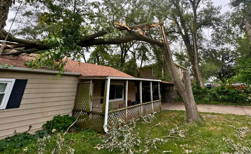 Storm-Damaged Trees Declared Unsafe