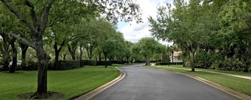 Trees Protected By HOA Or Development Agreements