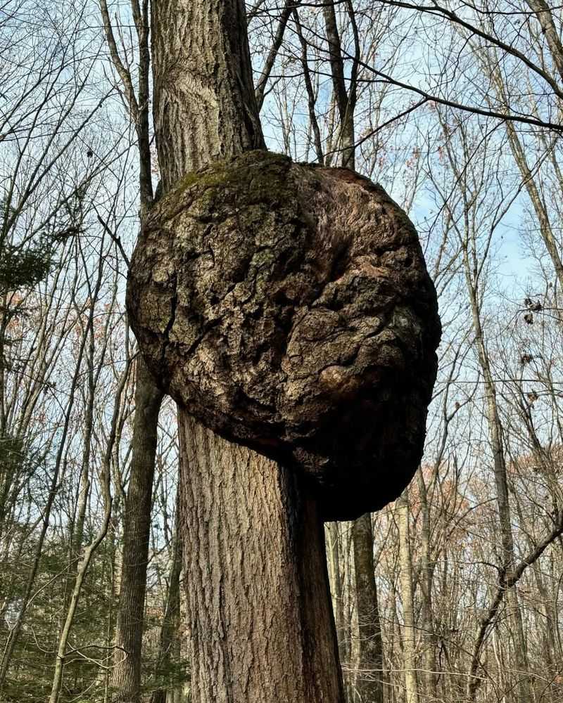 When Strange Growths Are Harmless