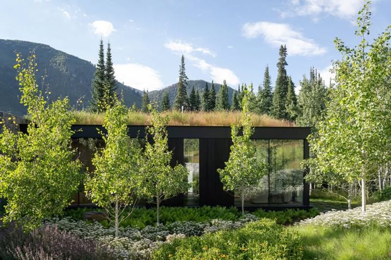 Trees Required By Development Approvals Or Landscape Plans