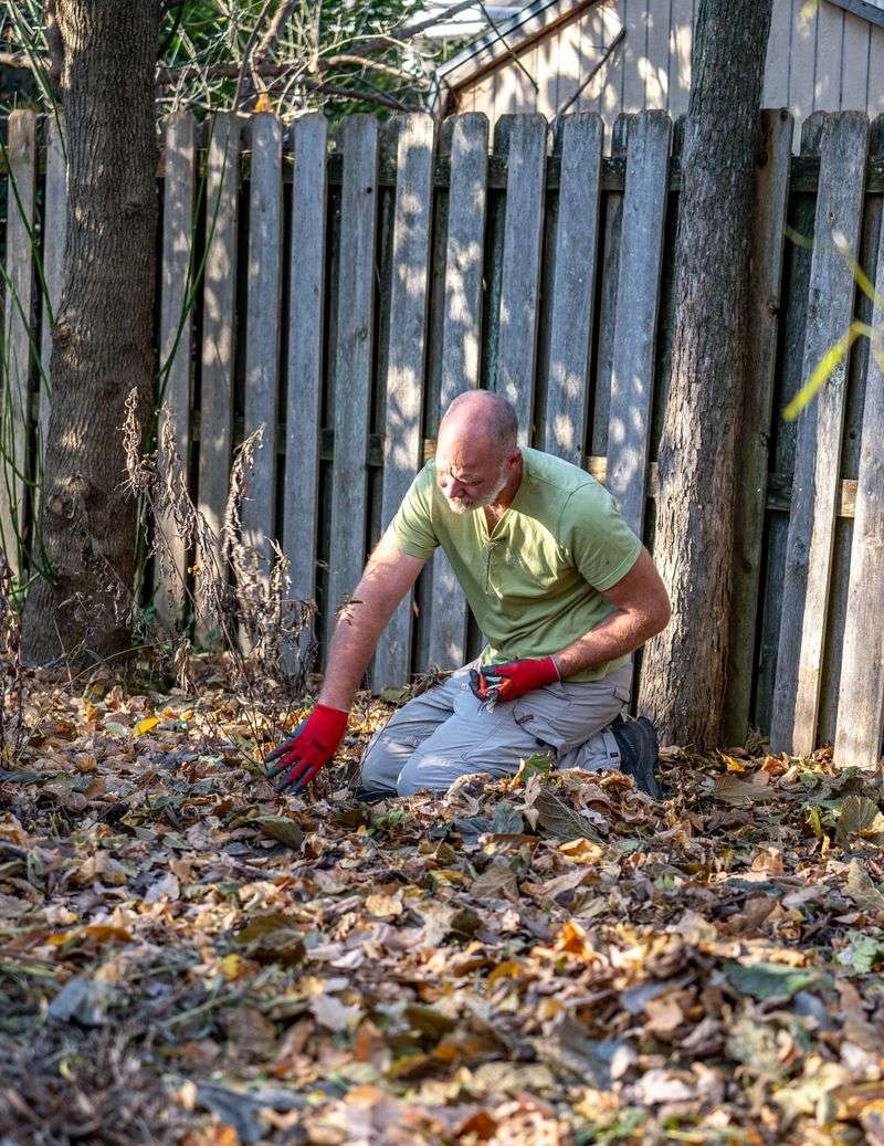 Pulling Out Annual Flower Beds Completely