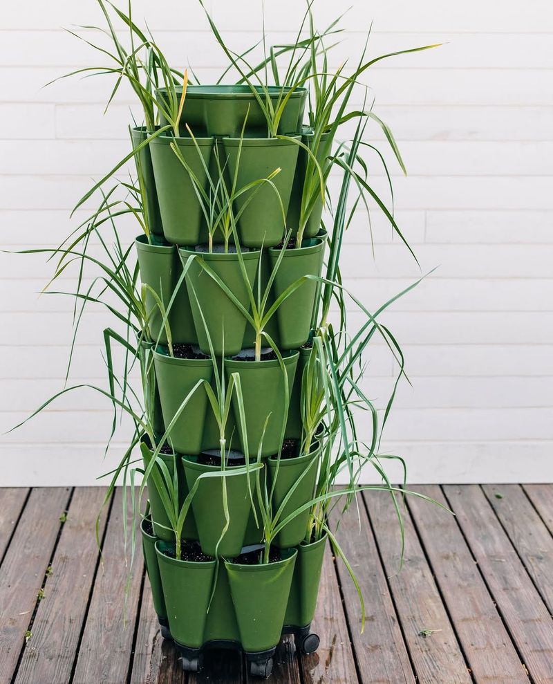 Expand Your Indoor Garden With Multiple Containers