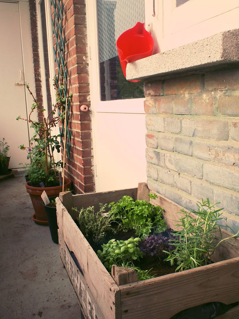 Repurpose Wooden Crates For Mobile Garden Beds