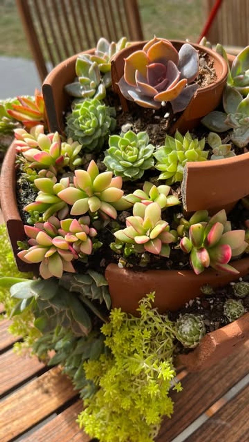 Use Broken Pots To Create Layered Planters