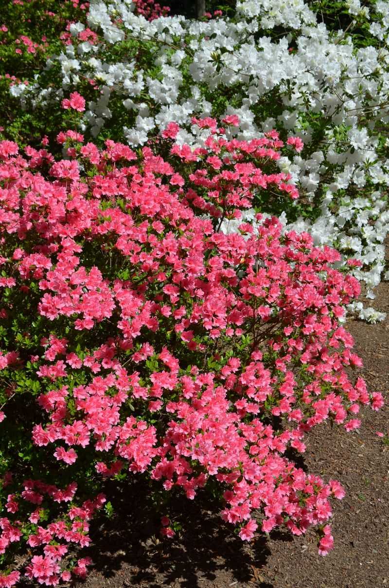 Exposed Windy Locations Without Protection