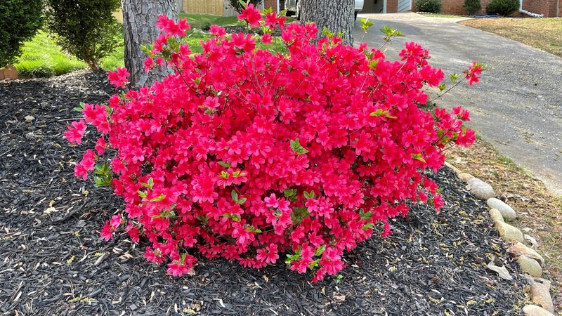 South-Facing Slopes With Intense Heat
