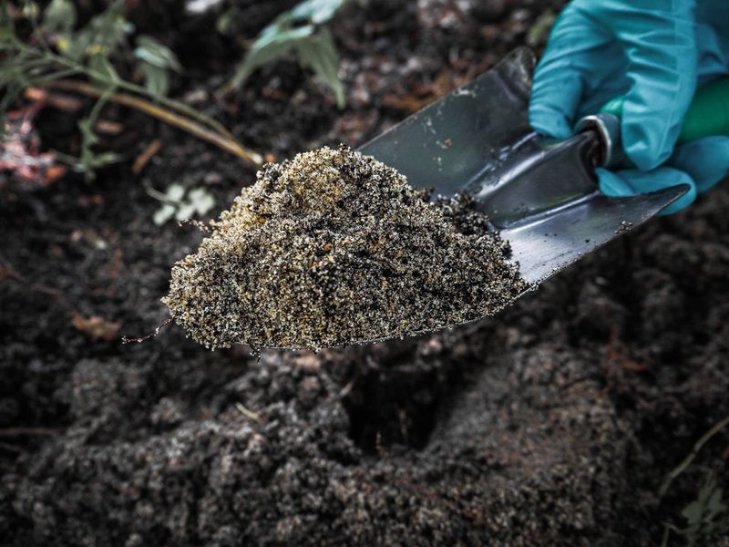Sandy And Coastal Soils Along Oregon's Coast