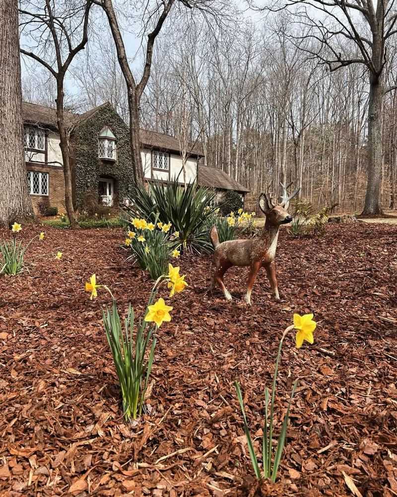 How Rainfall Changes Everything About Mulch Performance