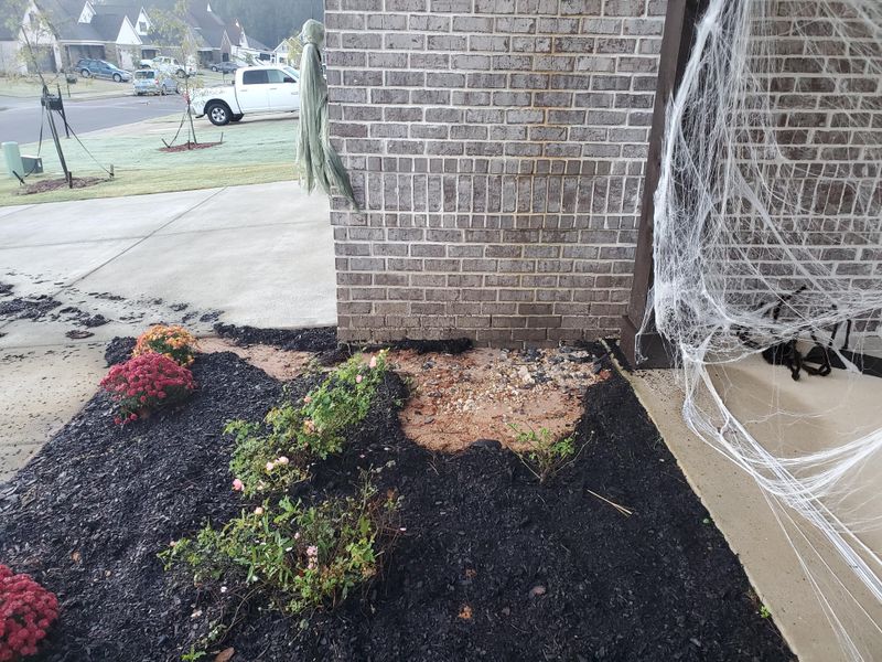 Mulch Breakdown Or Displacement From Winter Weather