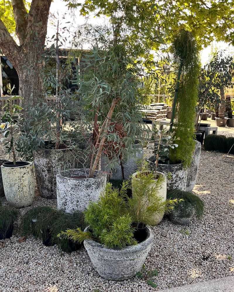 Weathered Planters Shine In Natural Corners