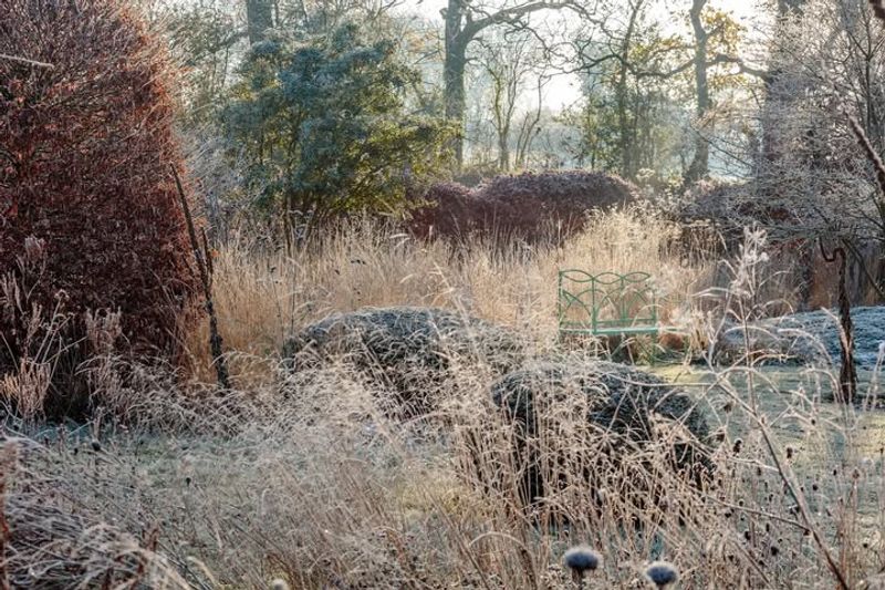 Garden Architecture Creates Stunning Frost Displays