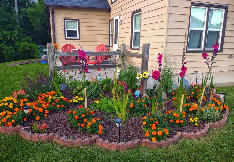 Pollinators Are Less Common Than Before