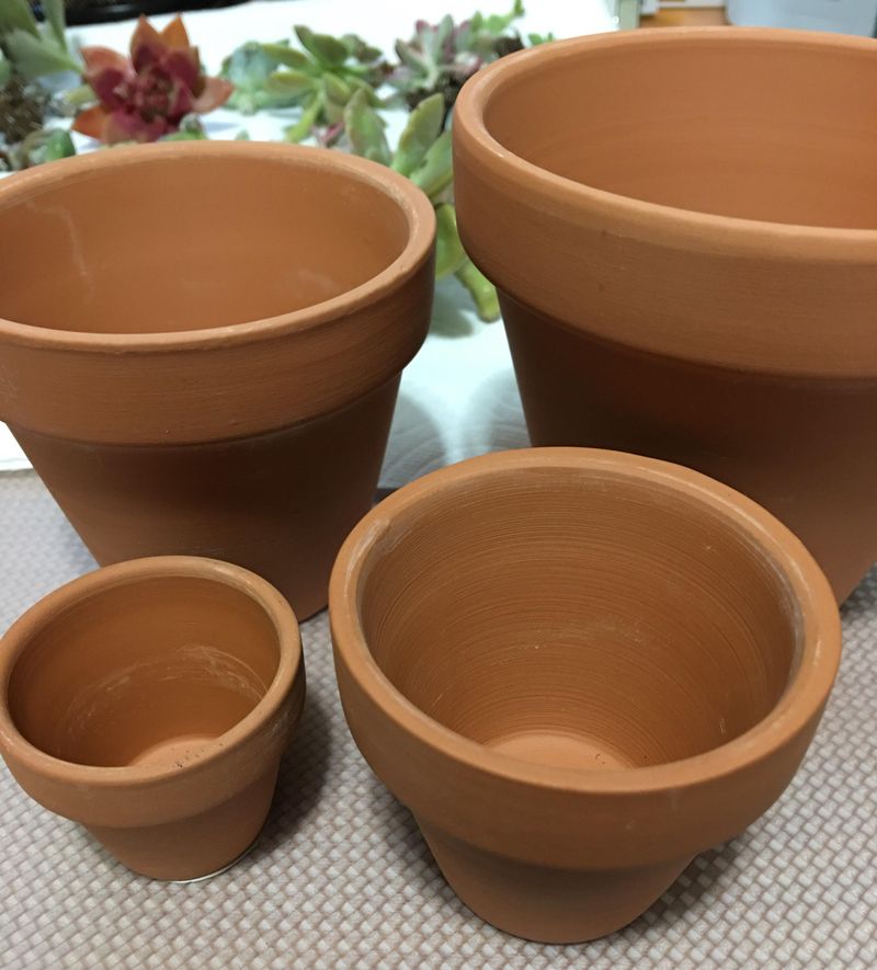 Choose Terra-Cotta Pots For Better Moisture Control