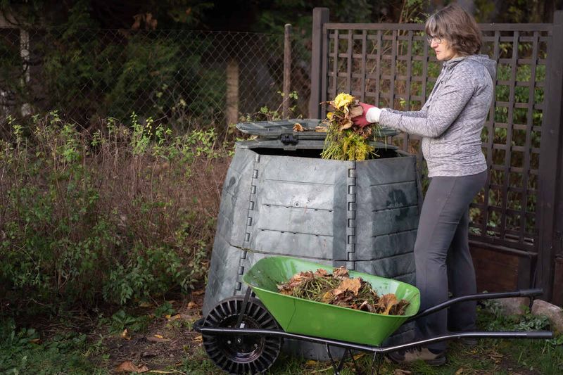Avoid Composting Diseased Plants Or Invasive Weeds