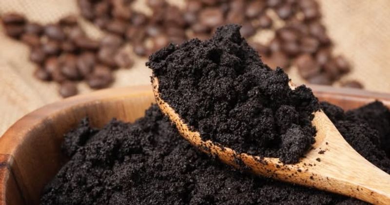 Rinse And Reuse Coffee Grounds To Avoid Soil Issues