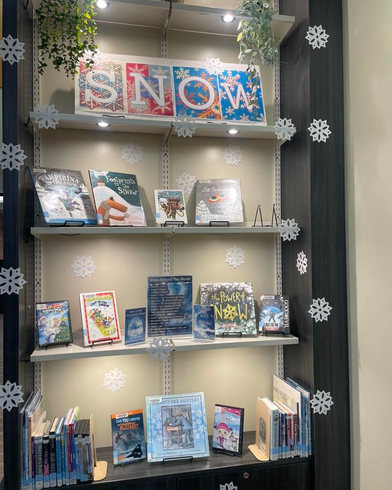 Display Collections Of Winter-Themed Books