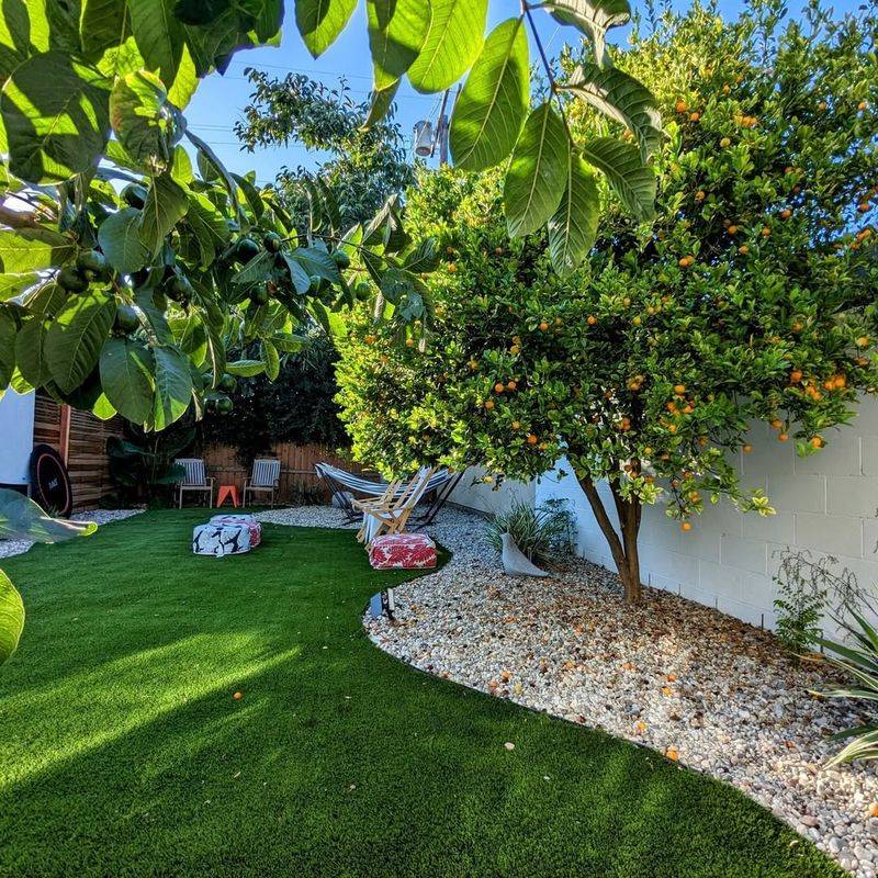 Don’t Strip Away Protective Shade