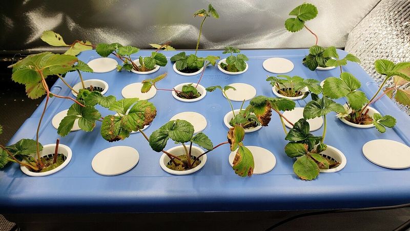 Keep Indoor Temperatures Stable And Moderate