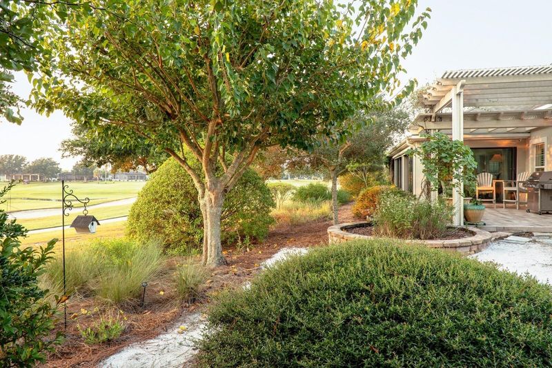 Plant Shade Trees Strategically