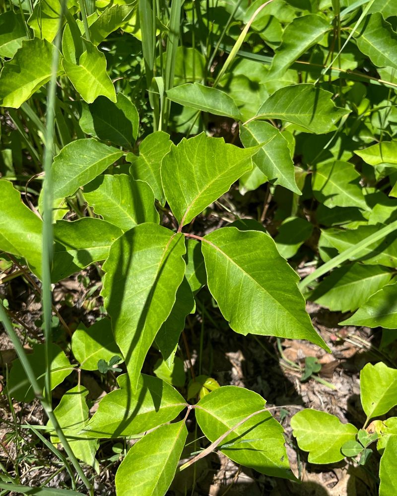 Know When To Call A Professional