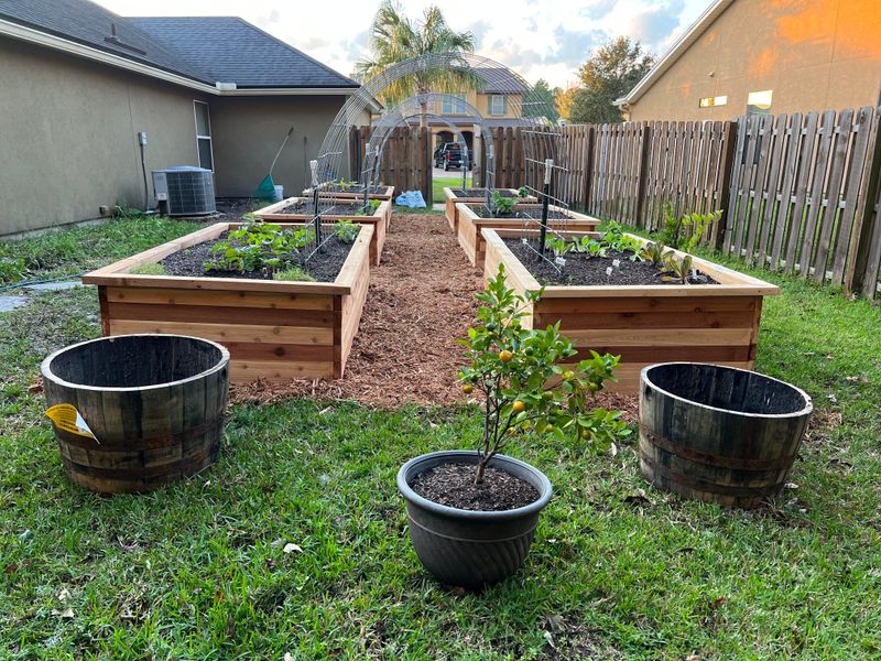 Monitor And Adjust Watering Practices