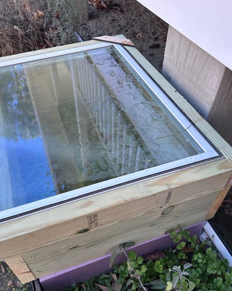 Convert Old Picture Frames Into Mini Greenhouses