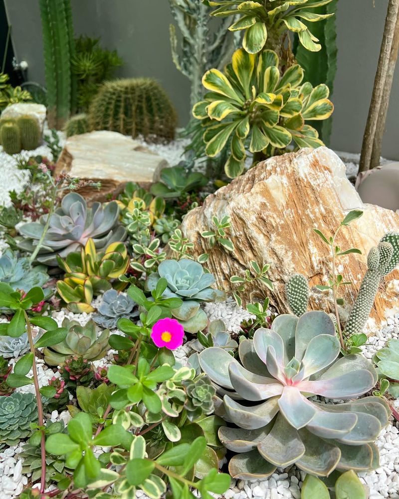 Prioritize Plants That Match Local Water Limits