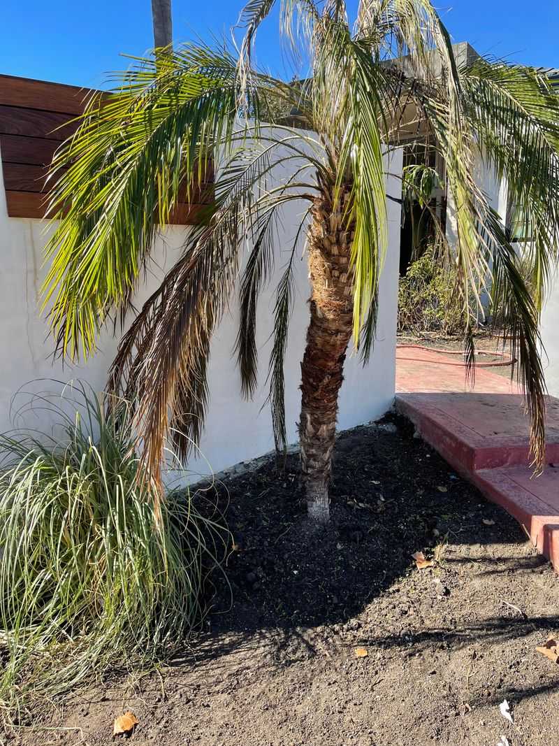 Adjust Your Watering