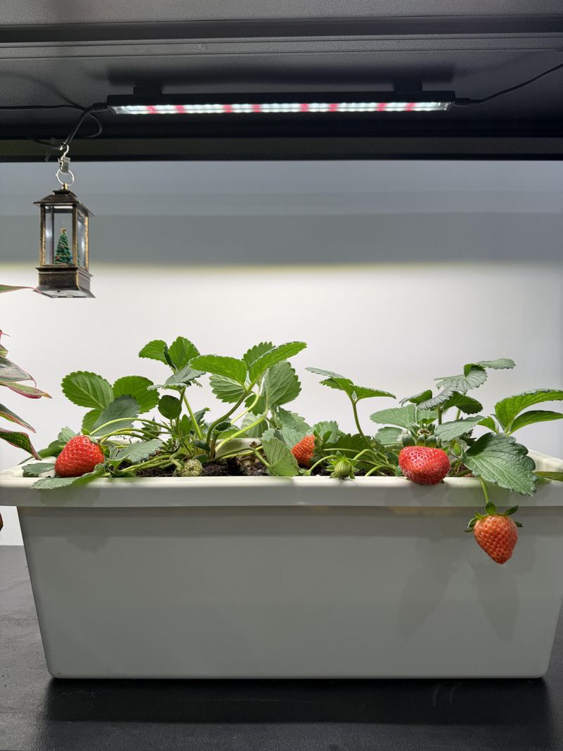 Maintain Proper Temperature and Humidity