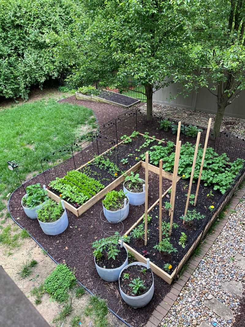 Choose Well-Draining Soil Mixes