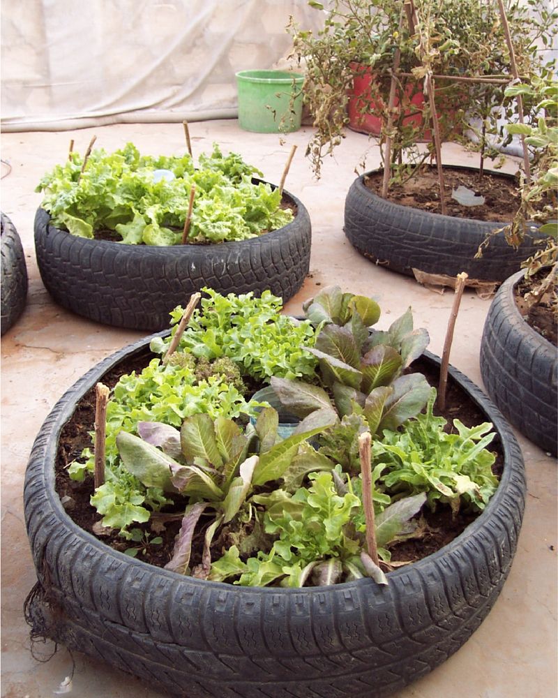 Convert Old Tires Into Raised Beds