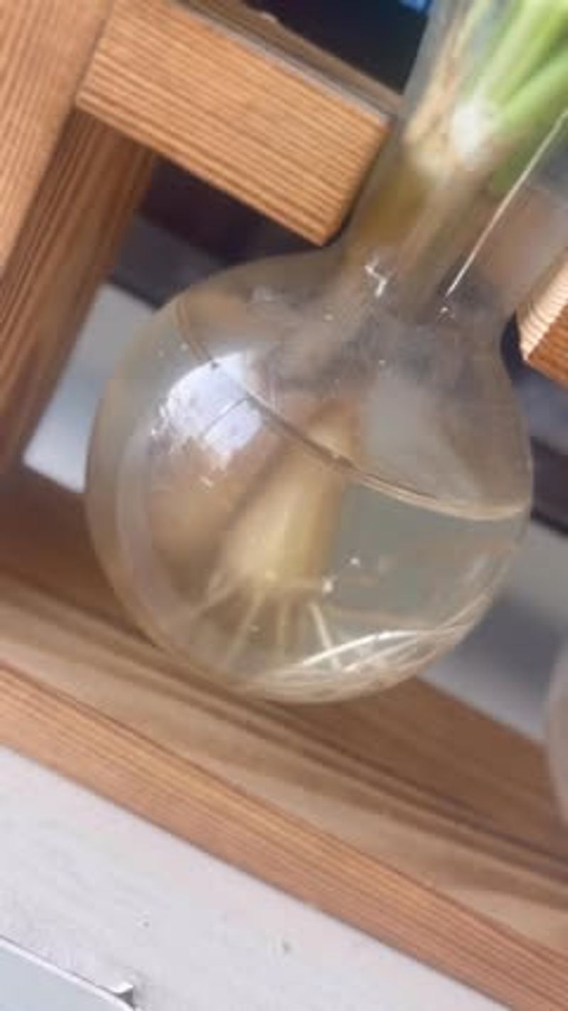 Keep Roots Warm But Away From Cold Glass