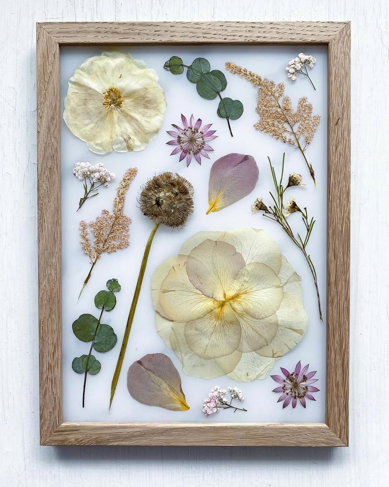 Press Flowers For Wall Art And Framed Displays