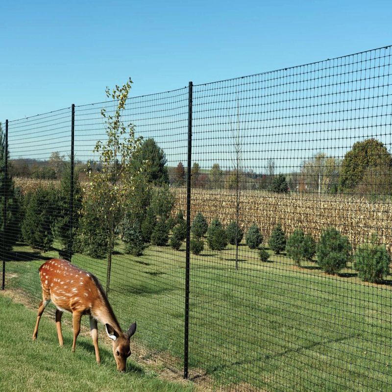 Install Fencing That Actually Works Against Deer