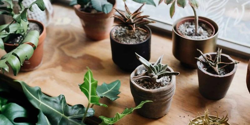 Water According To Colorado's Seasonal Changes