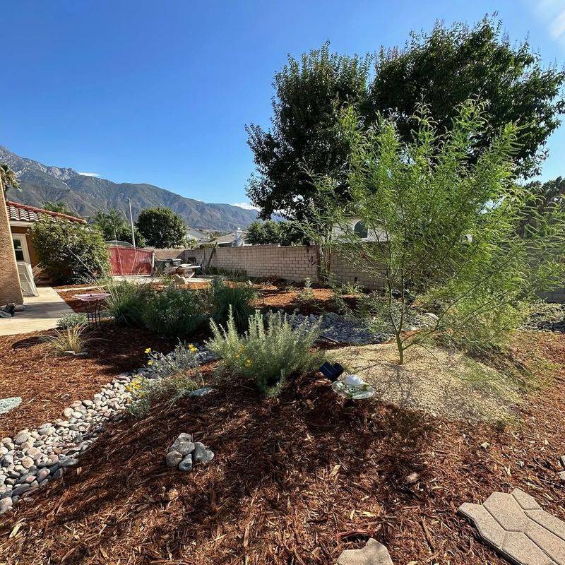 Plan Plant Placement Around Daily Use And Access