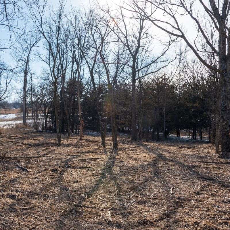 Soil Moisture Helps Insulate Roots Against Freeze-Thaw Damage