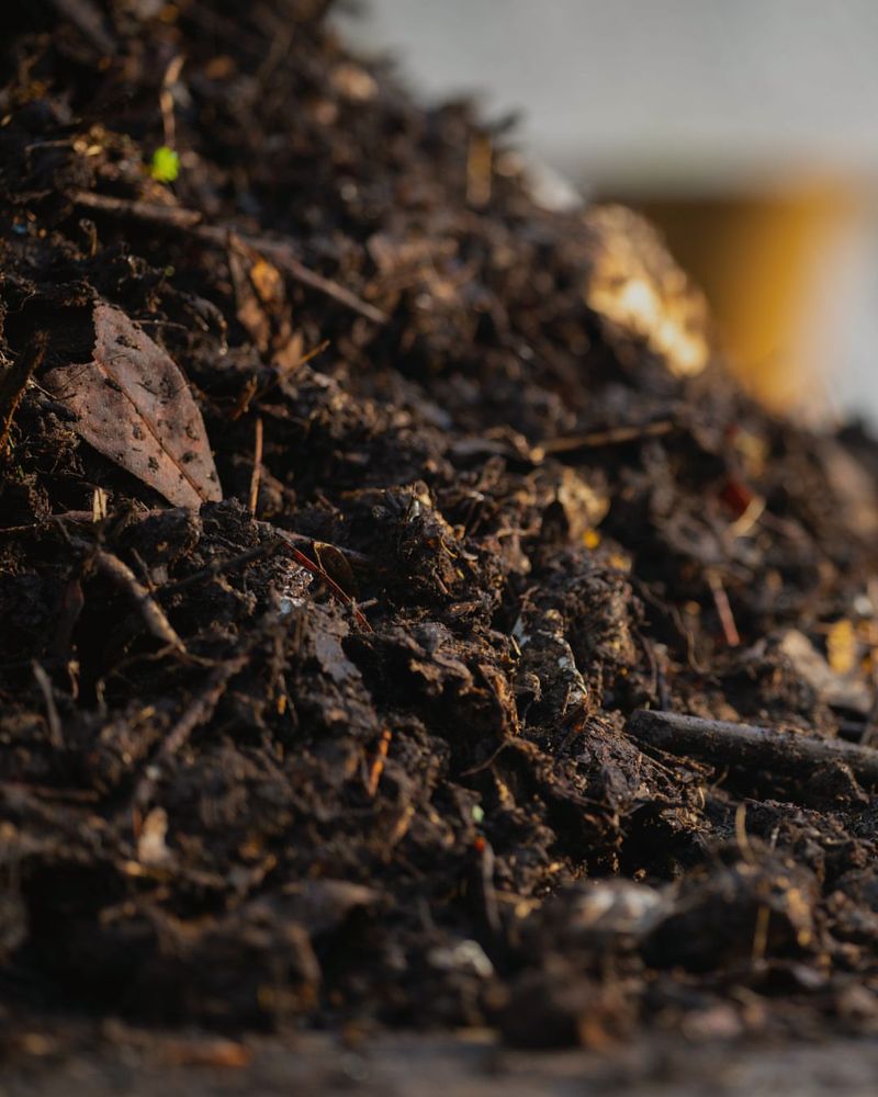 Maintain Soil Health With Organic Amendments