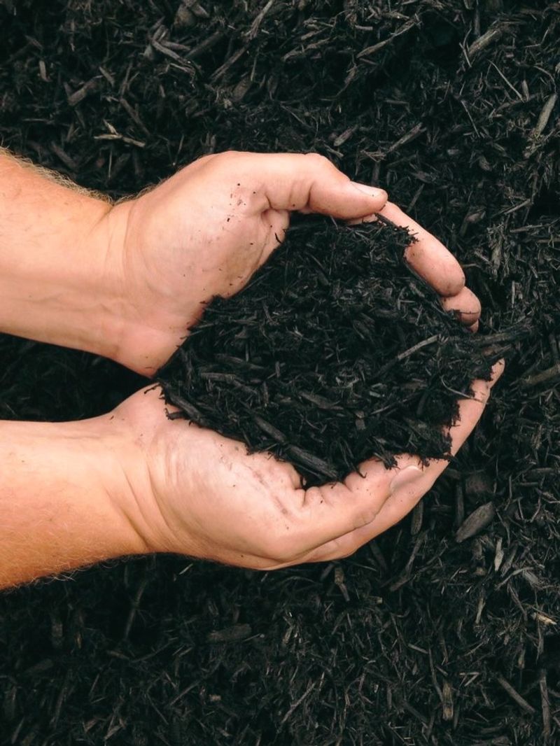 Mulching To Hold Moisture Longer