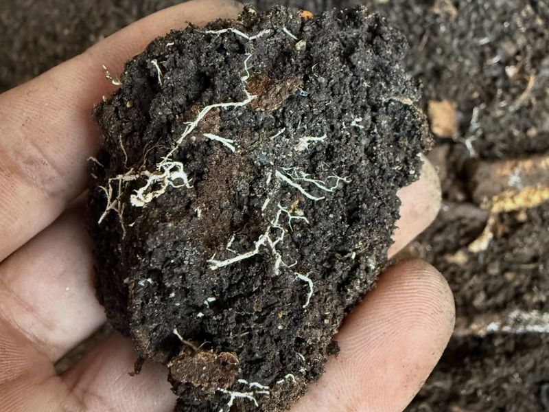 Reducing Nutrient Washout