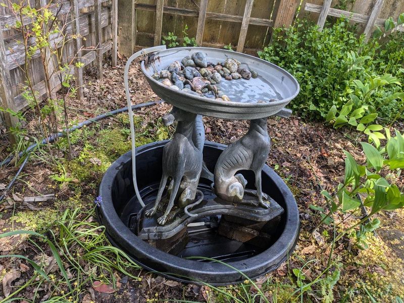 Not Providing A Clean Water Source