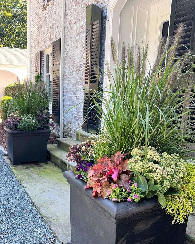 Repositioning Planters For Better Light