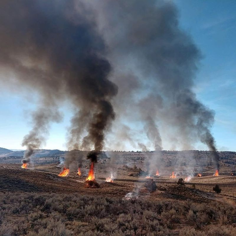 Controlled Burning In Designated Safe Areas