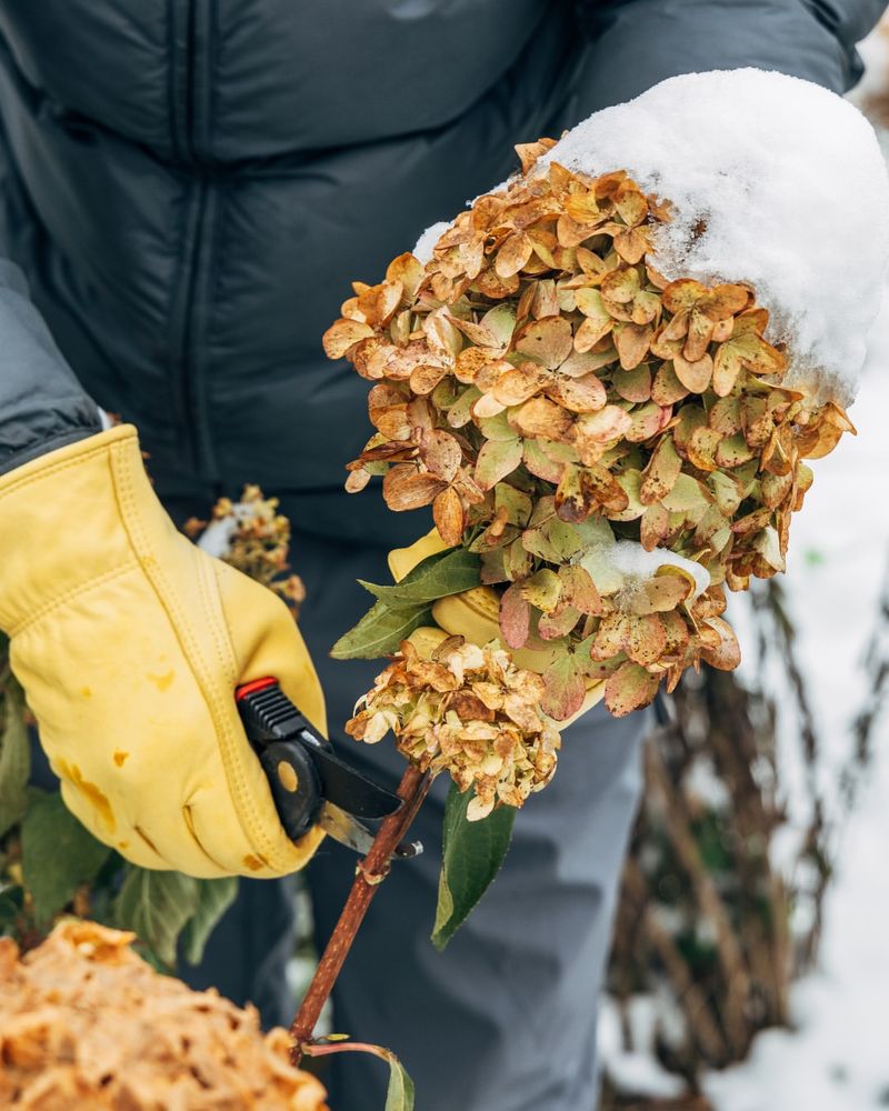 Avoiding Early Cleanup That Exposes Plants