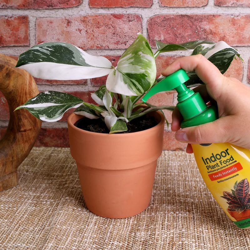 Fertilizing Less Frequently Than Package Instructions