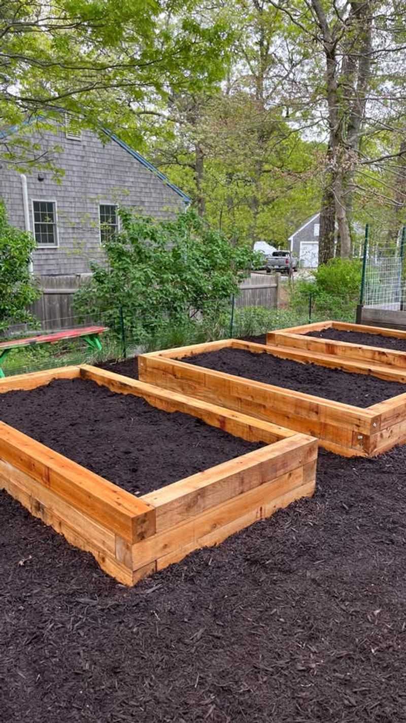 Common Raised Bed Mistakes Florida Gardeners Make