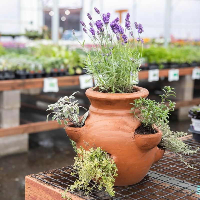 Turn Old Pots Into Vertical Herb Gardens