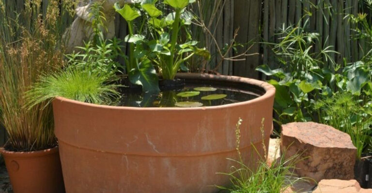 old garden pot repurposed